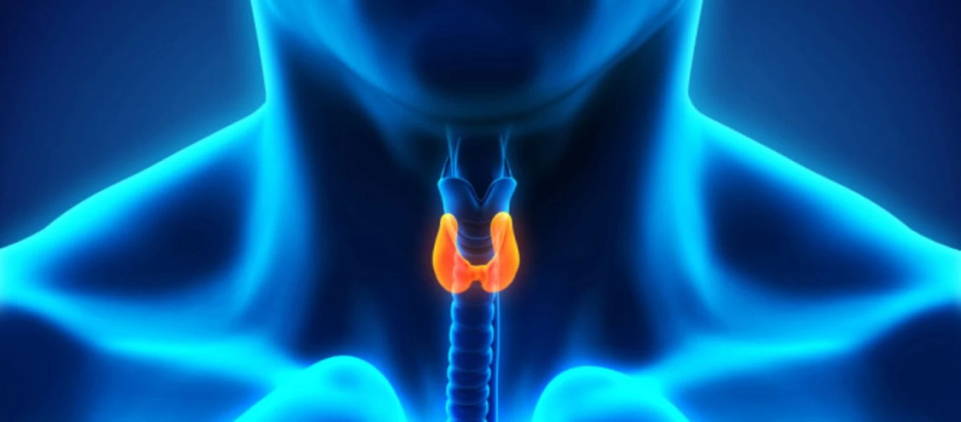 Τα 7+1 συμπτώματα που έχει ο υποθυρεοειδισμός